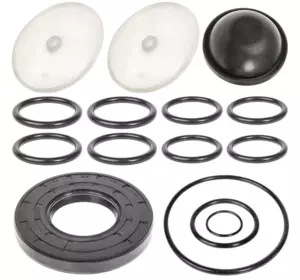 Ремкомплект для насоса опрыскивателя Biardzki P-120 (РТИ) Ремкомплект для насоса опрыскивателя Biardzki P-120 (РТИ)