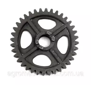 Колесо зубчатое редуктора сеялки СЗ-3,6 (Z-17) СЗГ 00.121 Колесо зубчатое редуктора сеялки СЗ-3,6 (Z-17) СЗГ 00.121