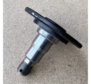 Ось диска АГ (нового образца) с 2015г Ось диска АГ (нового образца) с 2015г