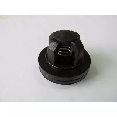 Клапан насоса Р-120 "Biardzki"